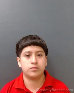 Mugshot of ANGELL RENEE TORRES