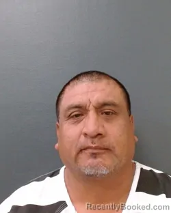 Mugshot of MARIO ANTONIO YBARRA