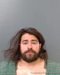 Mugshot of MARIO ALBERTO SOTELO SOTO