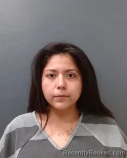 Mugshot of ANNIY RAIGEN VILLARREAL booked in Comal County, Texas on May 12, 2026