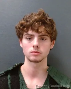 Booking photo from Comal County, Texas