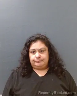 Mugshot of Elsa M Alanis booked in Comal County, Texas on August 5, 2026