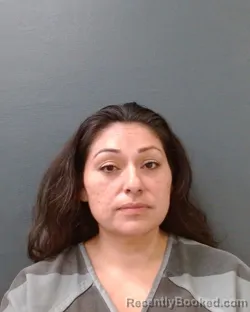 Mugshot of Rose M Castillo booked in Comal County, Texas on August 7, 2026