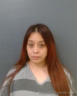 Mugshot of JOLENE HERNANDEZ booked in Comal County, Texas on July 5, 2026