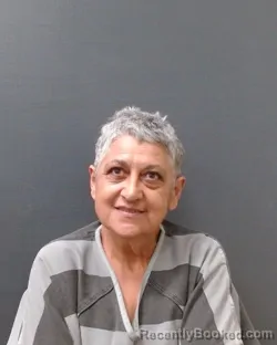 Mugshot of VALERIE L HODGES booked in Comal County, Texas on June 16, 2026