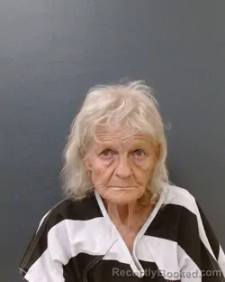 Mugshot of DONNA KNIGHT booked in Comal County, Texas on July 8, 2026