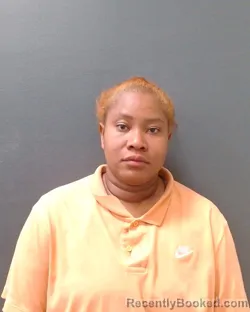Mugshot of ALEJANDRA P LUCAS SANCHEZ booked in Comal County, Texas on July 18, 2026