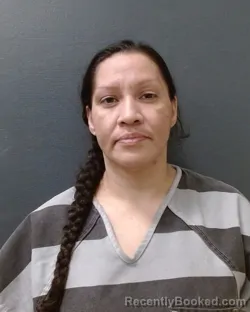 Mugshot of Betty J Lumbreras booked in Comal County, Texas on August 4, 2026