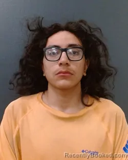Booking photo from Comal County, Texas
