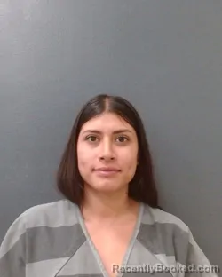 Mugshot of ELLIE M PEREZ booked in Comal County, Texas on July 6, 2026