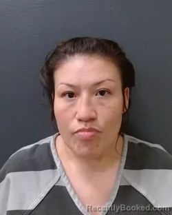 Mugshot of TANYA E PERENA booked in Comal County, Texas on July 7, 2026