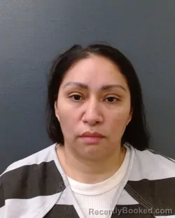 Mugshot of CRYSTAL A RABAGO booked in Comal County, Texas on July 2, 2026