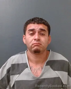 Mugshot of FIDEL TREJO booked in Comal County, Texas on June 10, 2026