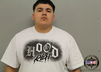 Mugshot of JUAN LOUIS GONZALEZ