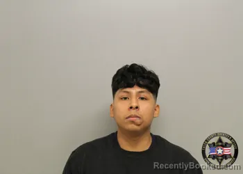 Mugshot of DAVID LOPEZ