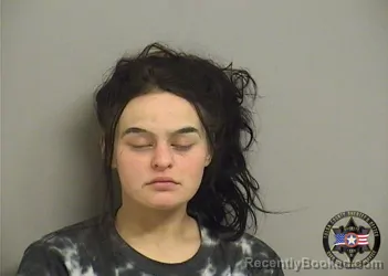 Mugshot of ELIZABETH HOLMES