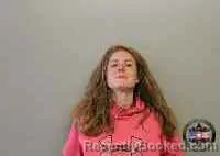 Mugshot of ELIZABETH ANDERSON