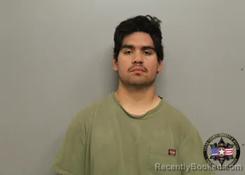 Mugshot of LEONARDO GOMEZ