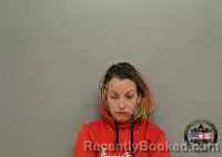 Mugshot of NICHOLE LYNN BASKIN