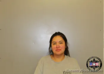 Mugshot of CHRISTIAN LITTLE BLUE CLOUD