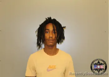 Mugshot of JAMES LAMONT HARRIS