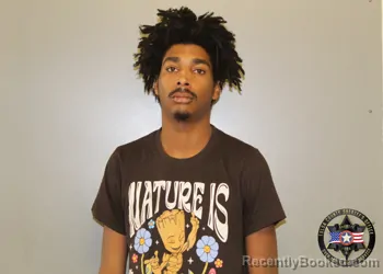 Mugshot of BLAKE DORCELLE WADE