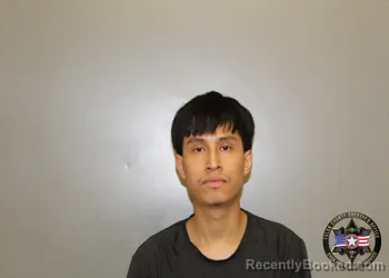 Mugshot of DAVID JIMENEZ-PENA