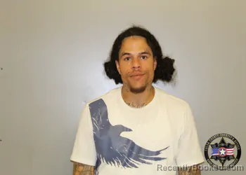 Mugshot of WILLIAM JONES