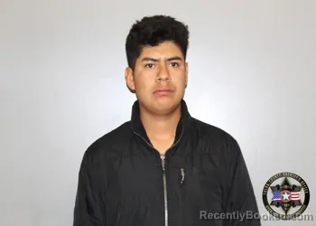 Mugshot of YAEL CHAVEZ ROJAS