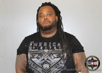 Mugshot of LANDERS PAGE