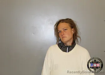 Mugshot of ALLISON HICKS