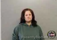 Mugshot of MEGAN YVETTE EVINGTON