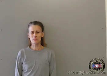 Mugshot of ASHLEY MARIE NEWLIN