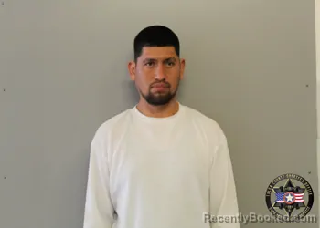 Mugshot of LUIS RODRIGUEZ