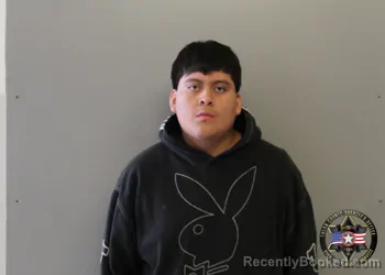 Mugshot of WILVER LOPEZ