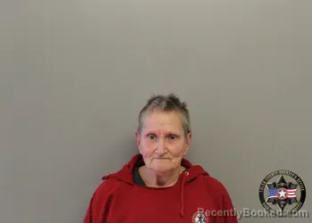 Mugshot of VICKI LOUISE JOHNSON