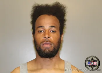 Mugshot of SIMON PETTER WHITESIDE