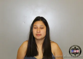 Mugshot of ANABEL RENEE TORRES