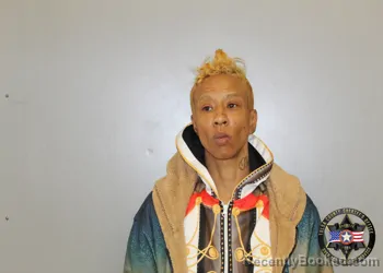 Mugshot of DIANNE LORENZO MOWERS booked in Tulsa County, Oklahoma on March 16, 2026