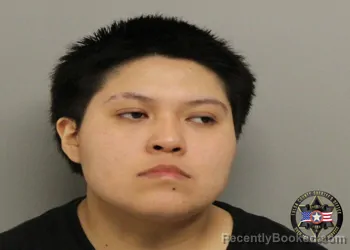 Mugshot of ROSA MARIA DIAZ booked in Tulsa County, Oklahoma on June 26, 2026
