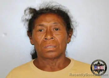 Mugshot of ROCHELLE DENISE FISHER booked in Tulsa County, Oklahoma on June 27, 2026