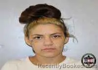 Mugshot of Robin Kristina Young booked in Tulsa County, Oklahoma on October 15, 2026
