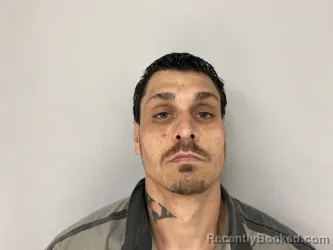 Mugshot of BRNADON FISHER