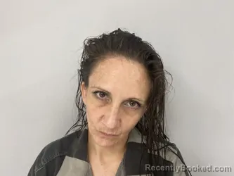 Mugshot of BRANDI HAUN