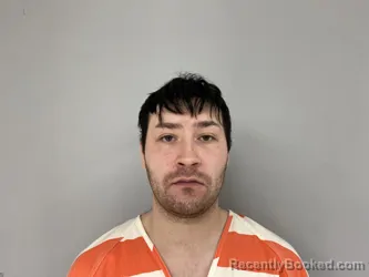 Mugshot of DUSTIN WILKERSON