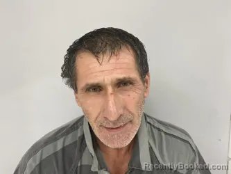 Mugshot of BRIAN SWEPSTON