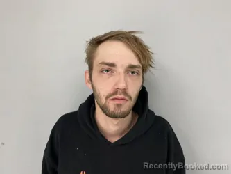 Mugshot of DILLON NASH