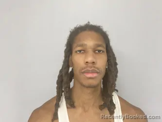 Mugshot of STEFAN FERGUSON