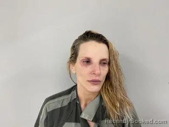 Mugshot of BRITTANY HOLDEN