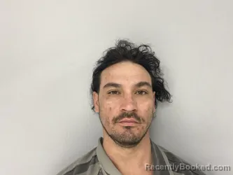 Mugshot of WILLIAM FARRIS